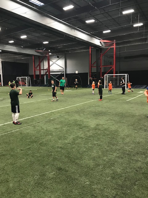 Rysa indoor soccer outlet
